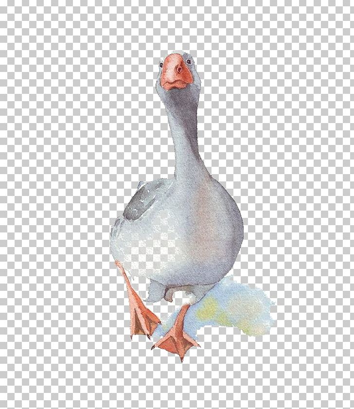 Domestic Goose Watercolor Painting Paper PNG, Clipart, Animals, Art, Artist, Beak, Big Ben Free PNG Download