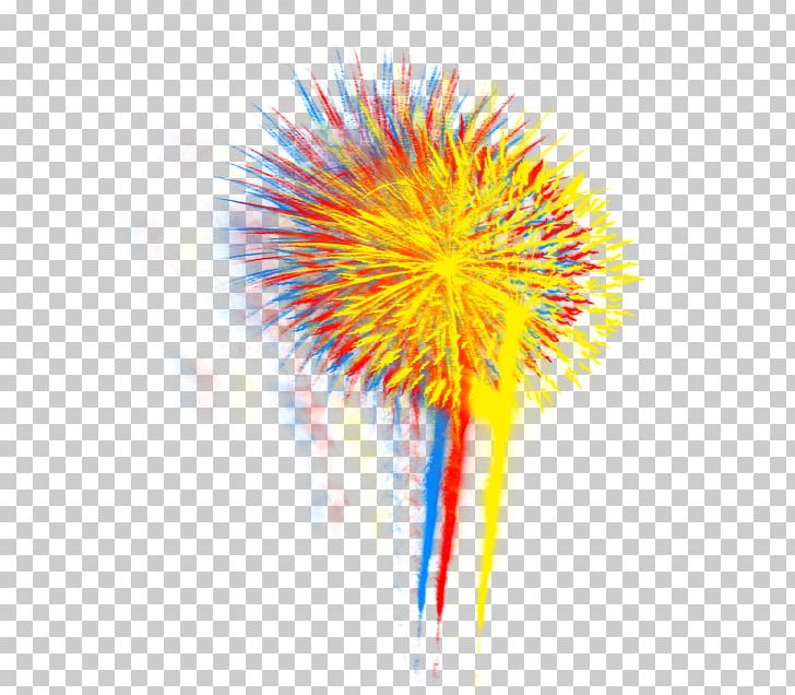 Encapsulated PostScript Real Fireworks PNG, Clipart, Download, Encapsulated Postscript, Fireworks, Others, Real Fireworks Free PNG Download