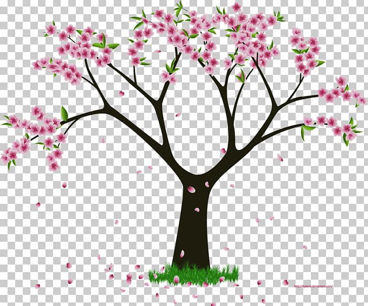 Flower Woody Plant Tree PNG, Clipart, Art, Blossom, Branch, Cherry Blossom, Flora Free PNG Download