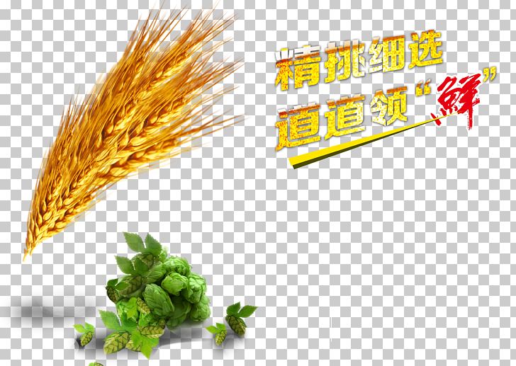 Barley Wheat Green Computer File PNG, Clipart, Background Green, Barley, Brass, Commodity, Computer Icons Free PNG Download