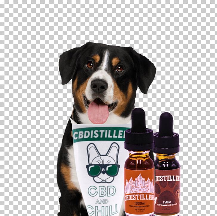Entlebucher Mountain Dog Greater Swiss Mountain Dog Puppy Bernese Mountain Dog PNG, Clipart, Animals, Bernese Mountain Dog, Companion Dog, Dog, Dog Agility Free PNG Download