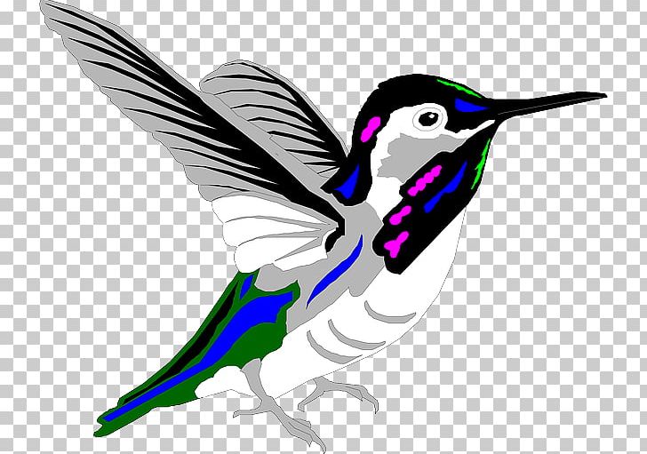 Hummingbird Animation Violetear PNG, Clipart, Animals, Animation, Art, Artwork, Beak Free PNG Download