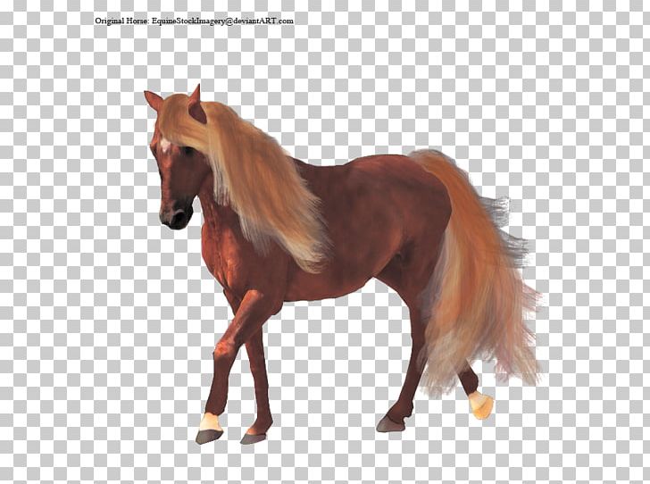 Mustang Stallion Foal Mare Rein PNG, Clipart, Animal Figure, Bridle, Foal, Fur, Halter Free PNG Download