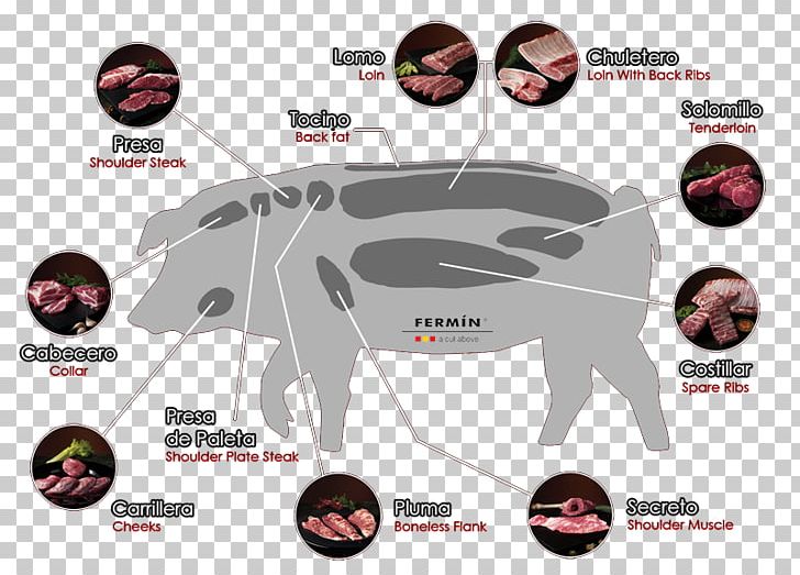 Black Iberian Pig Iberian Peninsula Spare Ribs Embutido Pork PNG, Clipart, Acorn, Automotive Tire, Black Iberian Pig, Brand, Domestic Pig Free PNG Download