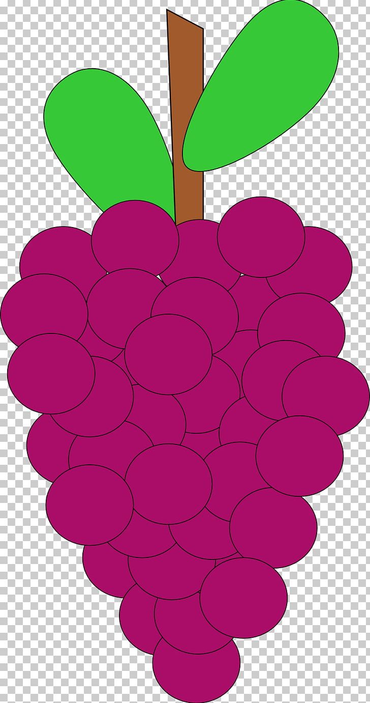 Common Grape Vine PNG, Clipart, Cartoon, Common Grape Vine, Flower, Flowering Plant, Food Free PNG Download