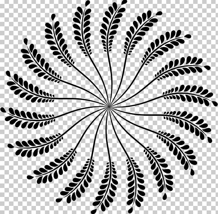 Floral Design Photography Graphic Design PNG, Clipart, Art, Black And White, Branch, Circle, Drawing Free PNG Download