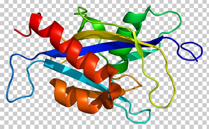 NUDT2 Protein Nudix Hydrolase Gene Enzyme PNG, Clipart, Artwork, Bis, Enzyme, Gene, Genome Free PNG Download