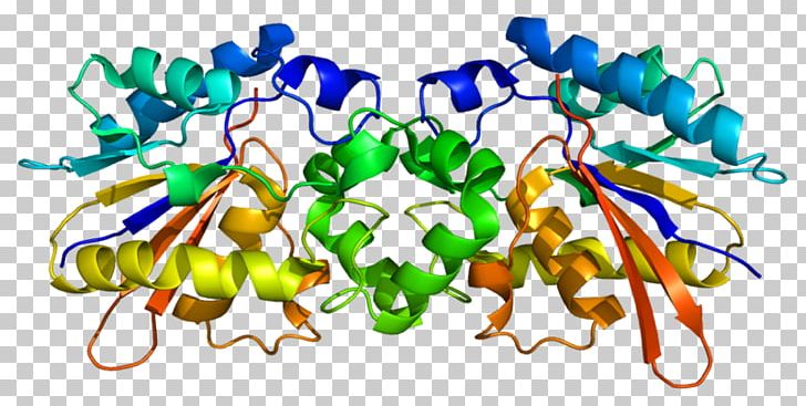 Protein Biology Science Enzyme PNG, Clipart, 1 C, 1 C 7, 7 Z, Artwork, Biology Free PNG Download