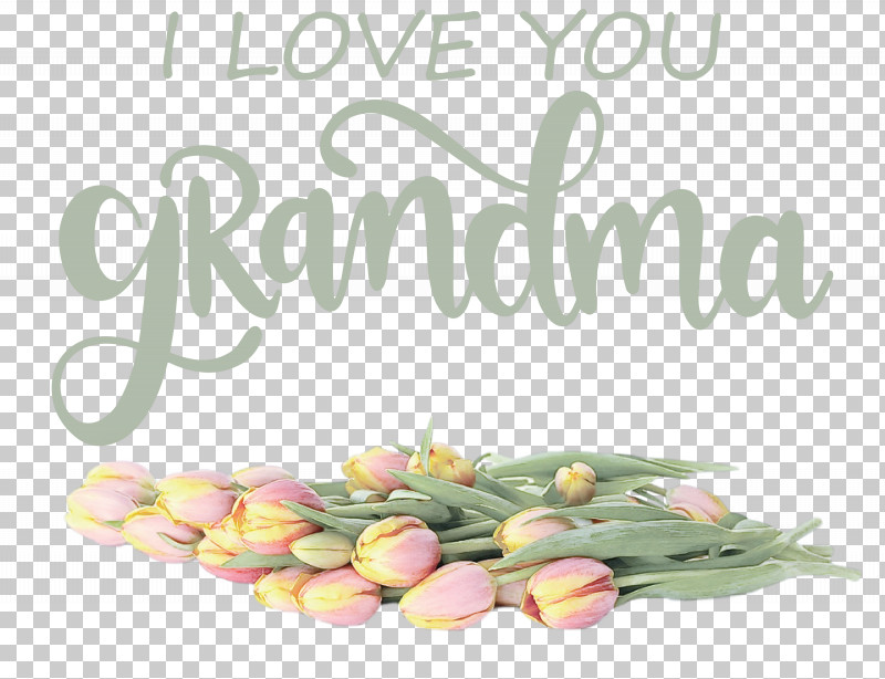 Grandmothers Day Grandma PNG, Clipart, Advocare, Cut Flowers, Flower, Grandma, Grandmothers Day Free PNG Download