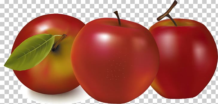 Apple Fruit Illustration PNG, Clipart, Encapsulated Postscript, Food, Fruit, Fruit Nut, Green Apple Free PNG Download