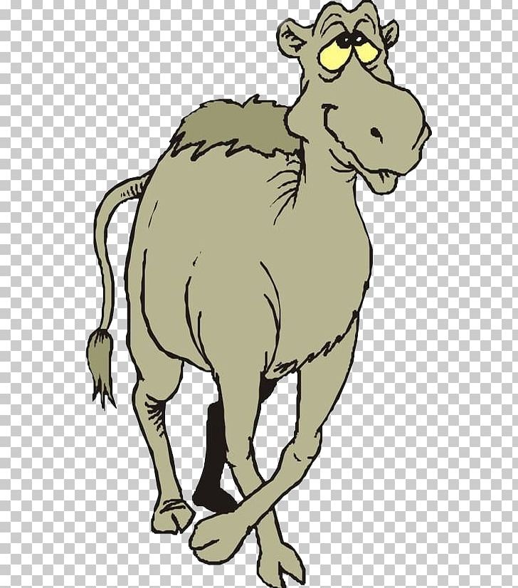 Camel Animation Cartoon PNG, Clipart, Animals, Carnivoran, Cartoon Camel, Cartoonist, Cow Goat Family Free PNG Download