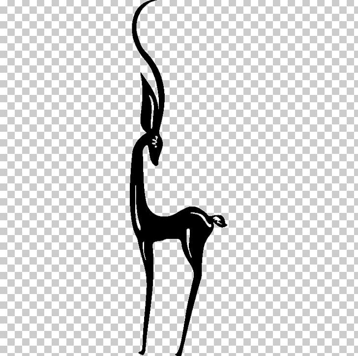 Cat Giraffe Mammal Tail Dog PNG, Clipart, Animals, Beak, Black, Black And White, Black M Free PNG Download