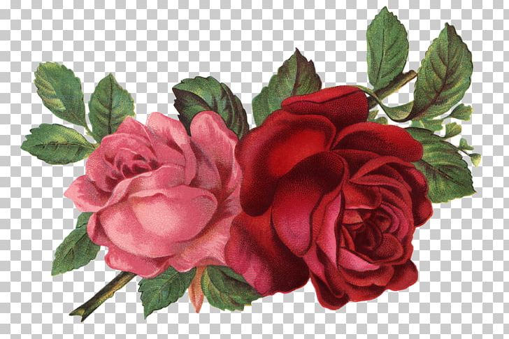 Decoupage PNG, Clipart, Artificial Flower, Decoupage, Drawing, Floral Design, Floribunda Free PNG Download