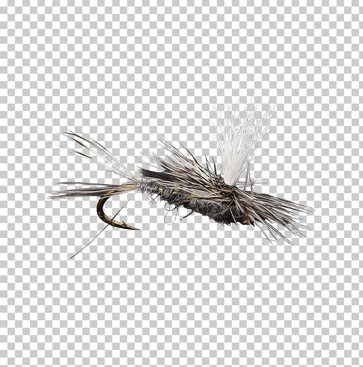 Insect Artificial Fly PNG, Clipart, Animals, Artificial Fly, Dry Fly Fishing, Fly, Insect Free PNG Download