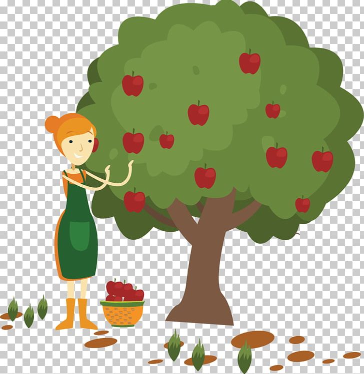 Apple Fruit Picking PNG, Clipart, Apple Fruit, Branch, Cartoon, Flower, Fruit Free PNG Download