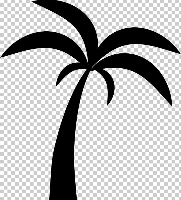 Arecaceae Logo Tree Computer Icons PNG, Clipart, Arecaceae, Arecales, Black And White, Branch, Coconut Free PNG Download