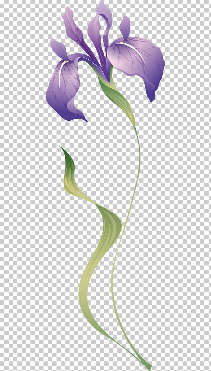 Flower Brush Irises Petal PNG, Clipart, Art, Arum, Branch, Closeup, Color Free PNG Download