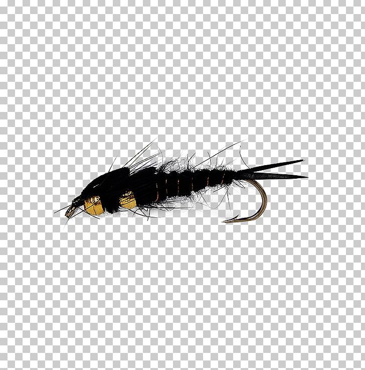 Fly Fishing Insect Stoneflies Holly Flies PNG, Clipart, Arthropod, Bomber, Crayfish, Discounts And Allowances, Fly Free PNG Download