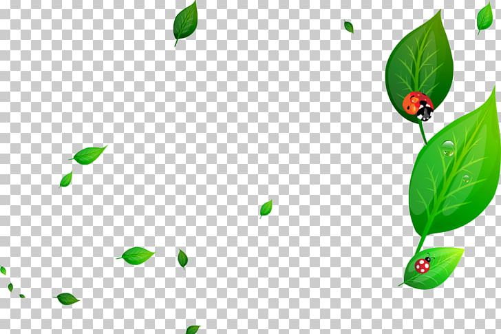 Ladybird Glass Green PNG, Clipart, Background Green, Computer Wallpaper, Euclidean Vector, Fall Leaves, Grass Free PNG Download