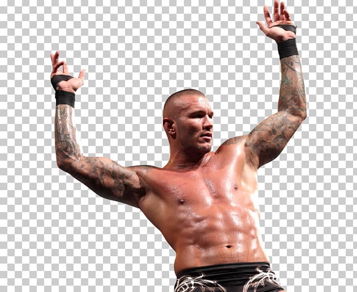 Randy Orton Rated-RKO Portable Network Graphics Cutter World Tag Team Championship PNG, Clipart, Abdomen, Aggression, Arm, Barechestedness, Bodybuilder Free PNG Download