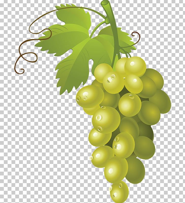 Common Grape Vine Sultana PNG, Clipart, Berry, Clip Art, Common Grape Vine, Flowering Plant, Food Free PNG Download
