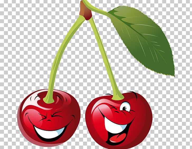 Cherry PNG, Clipart, Cartoon, Cherries, Cherry, Drawing, Flowering Plant Free PNG Download