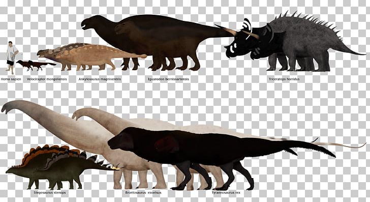 Tyrannosaurus Triceratops Stegosaurus Ankylosaurus Edmontosaurus PNG, Clipart, Animal, Ankylosaurus, Apatosaurus, Brontosaurus, Carnivoran Free PNG Download