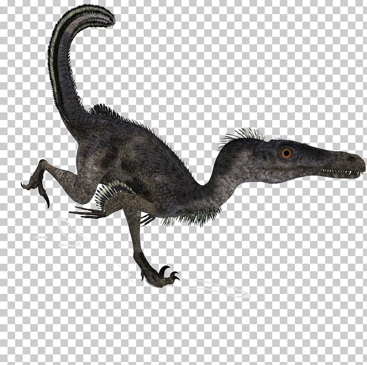 Velociraptor Deinonychus Battle Of Giants: Dinosaurs PNG, Clipart, 3d Dinosaurs, Age, Ancient, Cartoon Dinosaur, Cute Dinosaur Free PNG Download