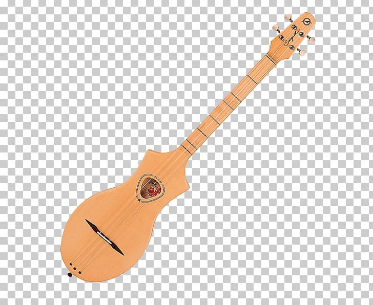 Appalachian Dulcimer Seagull Acoustic Guitar String Instruments PNG, Clipart,  Free PNG Download