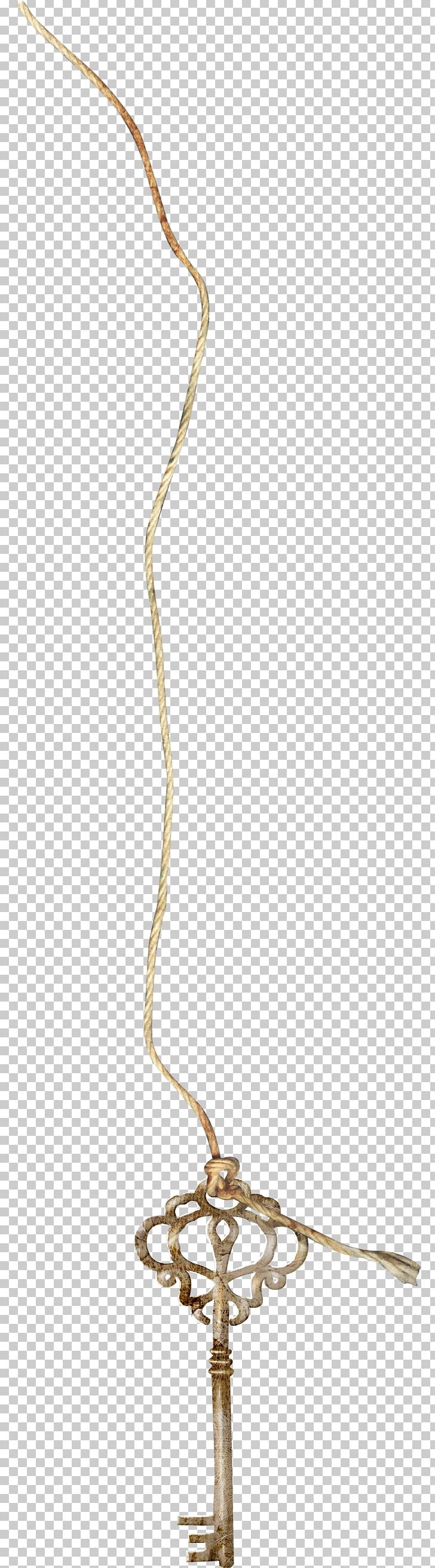 Rope Hemp PNG, Clipart, Adobe Illustrator, Around, Around The World, Branch, Classical Free PNG Download