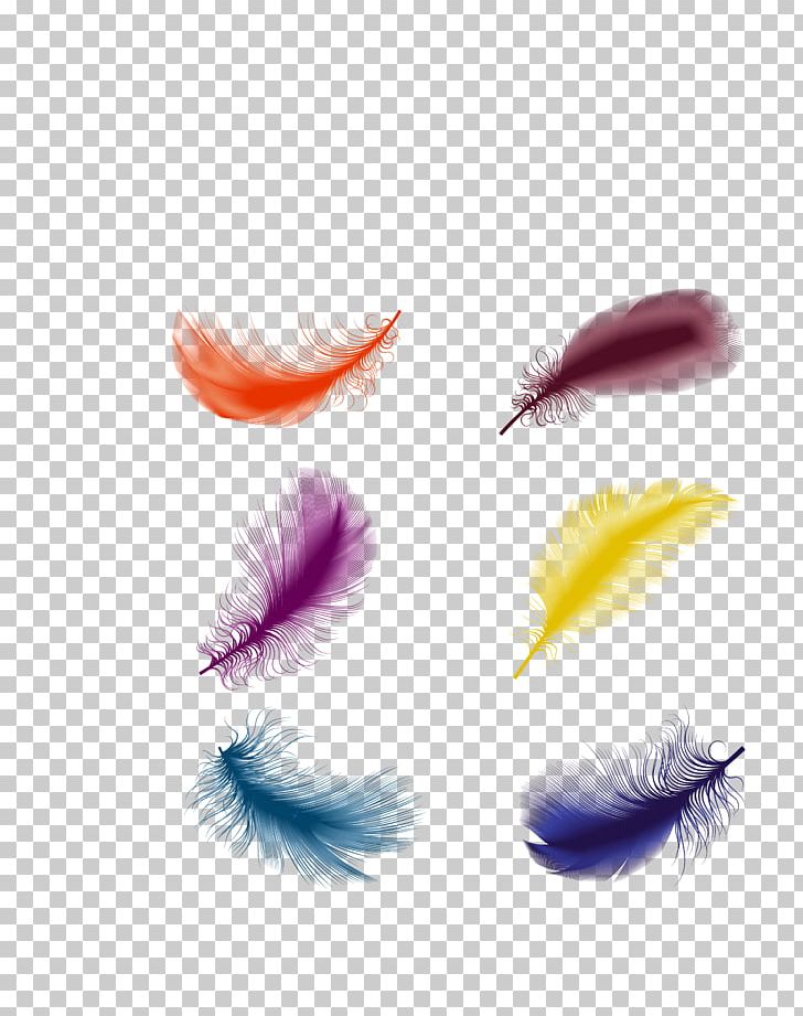 The Floating Feather PNG, Clipart, Animals, Christmas Decoration, Closeup, Color, Color Pencil Free PNG Download