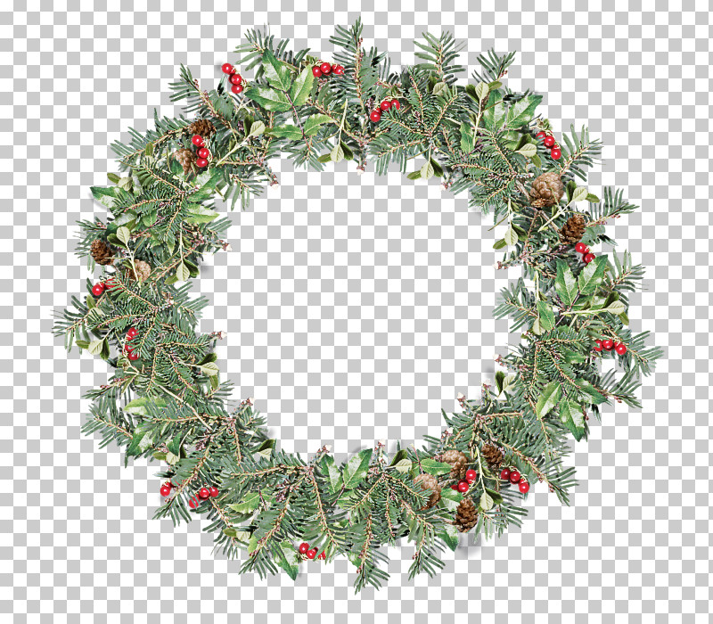 Christmas Decoration PNG, Clipart, Christmas Decoration, Christmas Ornament, Conifer, Evergreen, Fir Free PNG Download