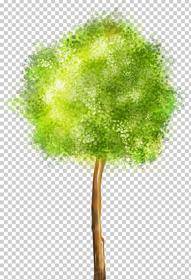 Drawing PNG, Clipart, Branch, Computer Icons, Data Compression, Derevo, Download Free PNG Download