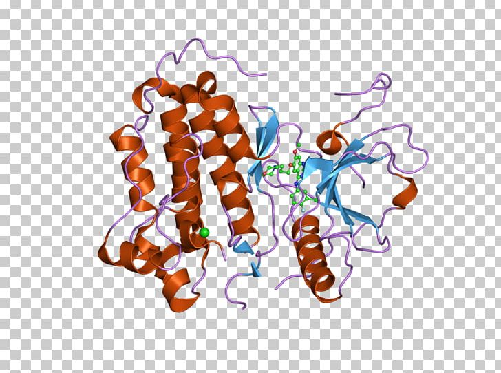 Epidermal Growth Factor Receptor Receptor Tyrosine Kinase Catalan Wikipedia PNG, Clipart, Catalan Wikipedia, Complex, Crystal Structure, Domain, Ebi Free PNG Download