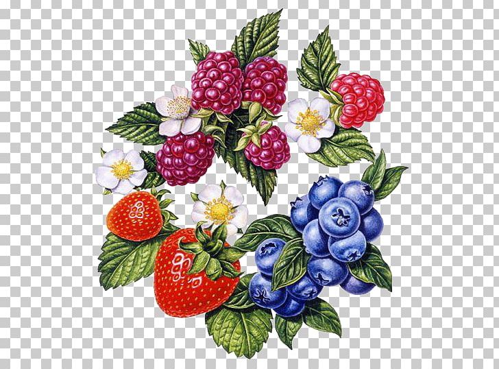 Frutti Di Bosco Strawberry Painting Art Illustration PNG, Clipart, Behance, Berries, Berry, Chinese Style, Decoupage Free PNG Download