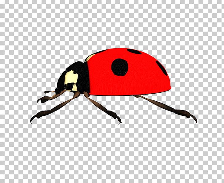 Ladybird Beetle PNG, Clipart, Arthropod, Beetle, Download, Image File Formats, Insect Free PNG Download