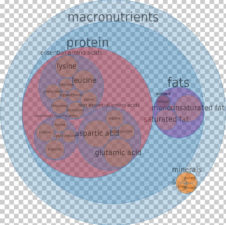 Popcorn Essential Amino Acid Mineral Amine PNG, Clipart, Acid, Amine, Amino Acid, Calorie, Carbohydrate Free PNG Download