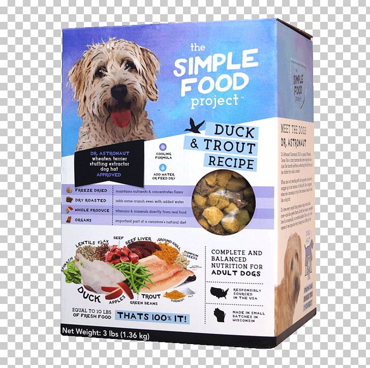 Raw Foodism Dog Food Cat Food PNG, Clipart, Bowl, Cat Food, Chicken As Food, Dog, Dog Food Free PNG Download