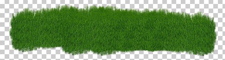 Grass Lawn Grasgroen PNG, Clipart, Artificial Turf, Commodity, Download, Grasgroen, Grass Free PNG Download