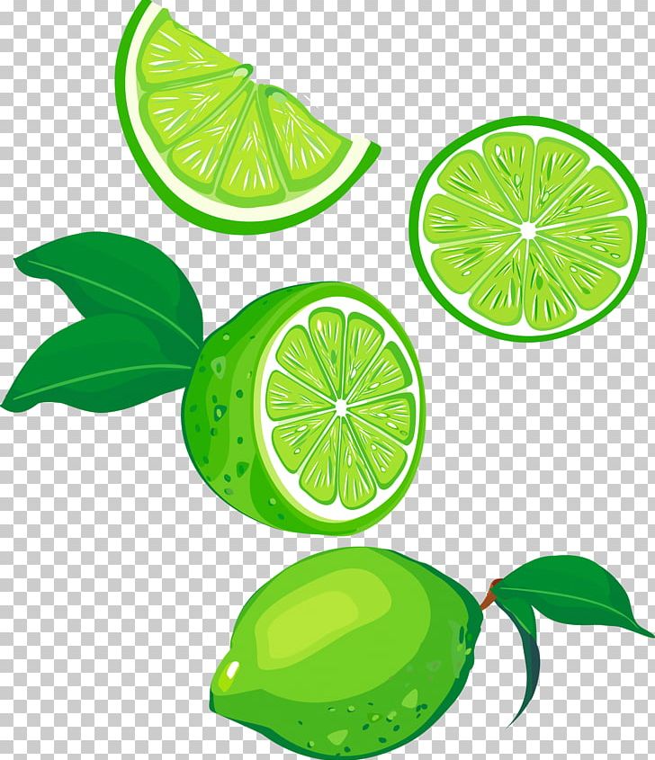 Lemon Lime Fruit Green PNG, Clipart, Acid, Circle, Citric Acid, Citrus, Color Free PNG Download