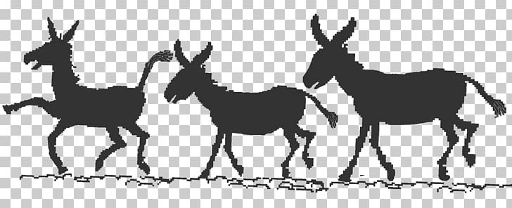 Mule Donkey Foal Mustang Animal-assisted Therapy PNG, Clipart, Animals, Antelope, Black And White, Colt, Deer Free PNG Download