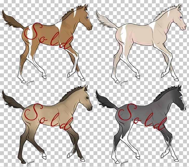 Mule Foal Mustang Mare Stallion PNG, Clipart,  Free PNG Download