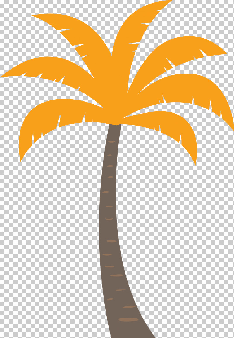 Palm Trees PNG, Clipart, Beach, Biology, Cartoon Tree, Flower, Leaf Free PNG Download