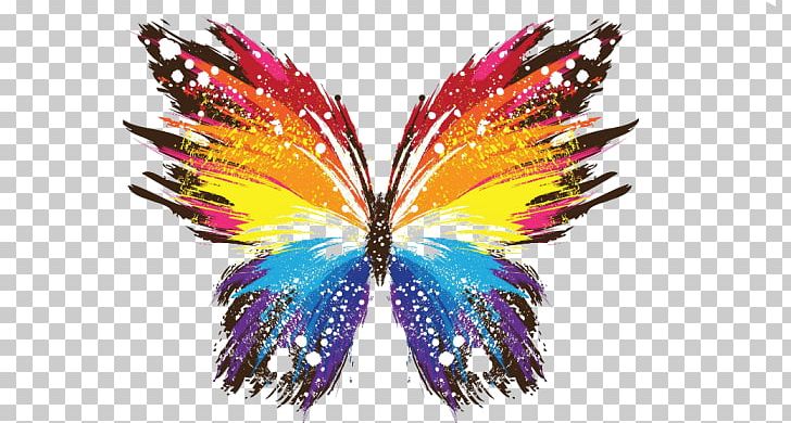 Butterfly Effect Color Desktop PNG, Clipart, Animal, Butterfly, Butterfly Effect, Color, Colorful Free PNG Download