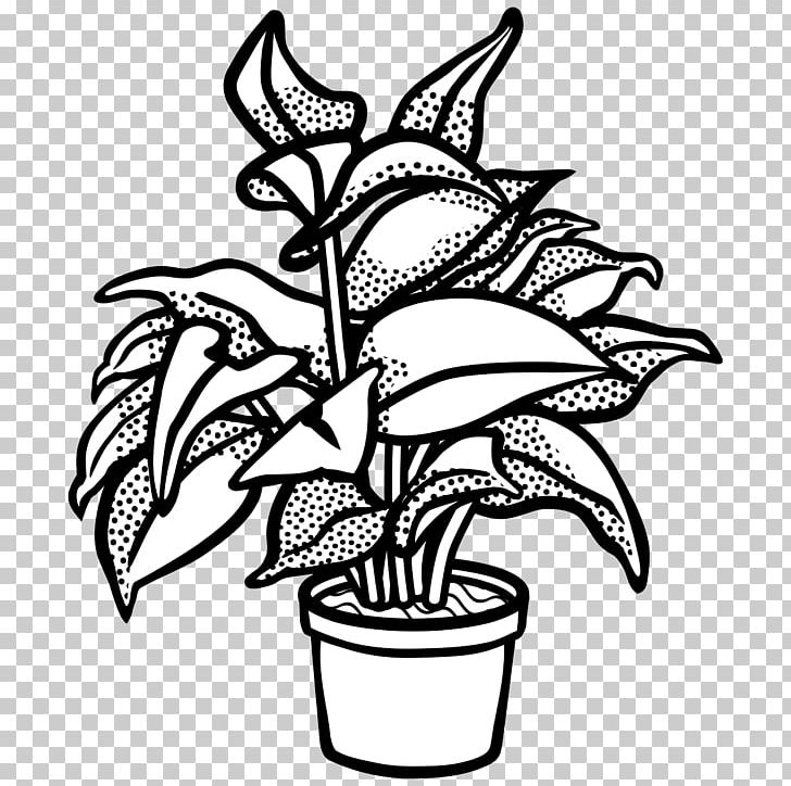 Plant Drawing Line Art PNG, Clipart, Art, Artwork, Black And White, Branch, Cartoon Free PNG Download