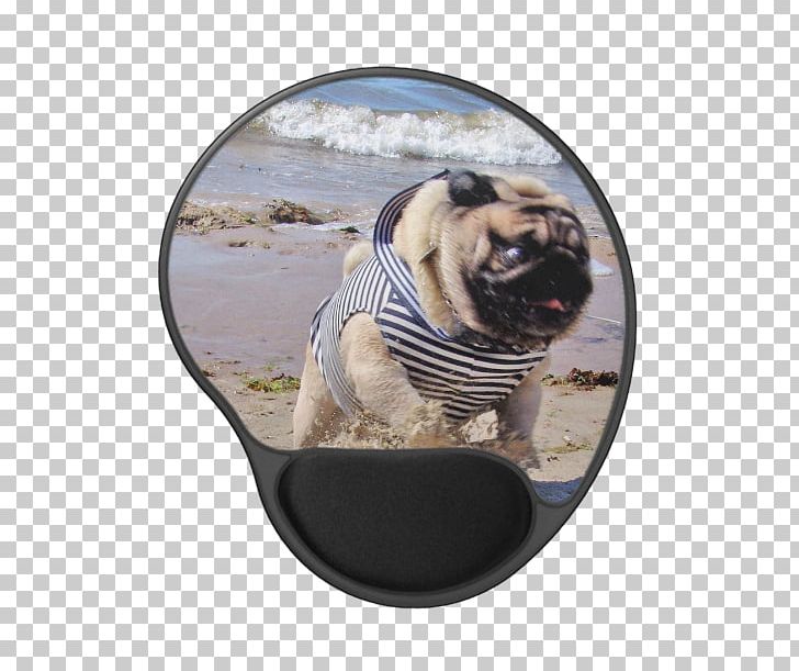 Pug Dog Breed Toy Dog Snout PNG, Clipart, Bag, Breed, Carnivoran, Cosmetics, Dog Free PNG Download