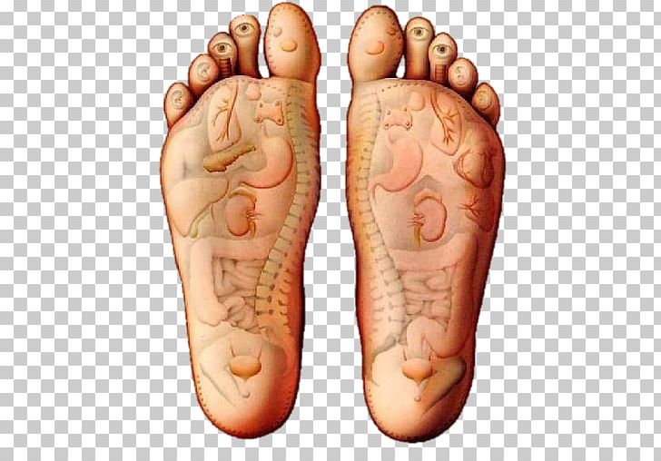 Reflexology Massage Foot Therapy Acupuncture PNG, Clipart, Acupuncture, Alternative Health Services, Apk, Arm, Finger Free PNG Download