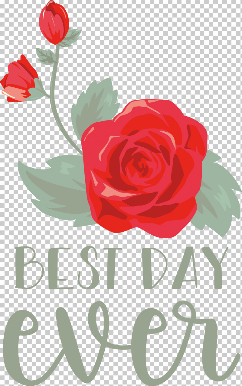 Best Day Ever Wedding PNG, Clipart, Best Day Ever, Cabbage Rose, Cut Flowers, Floral Design, Flower Free PNG Download