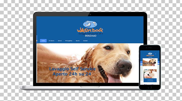 Golden Retriever Puppy Dog Breed Display Advertising Electronics PNG, Clipart, Advertising, Animals, Brand, Display Advertising, Dog Free PNG Download