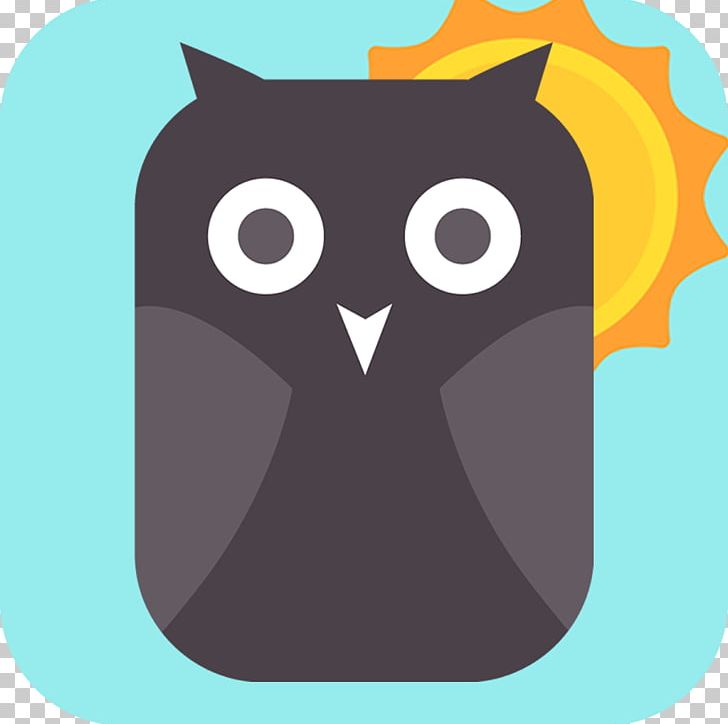 Owl Beak Bird PNG, Clipart, Animals, Austin, Beak, Bird, Bird Of Prey Free PNG Download